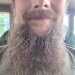 Stardew85's profile picture