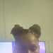 Profile photo of Yaya from Timberlake