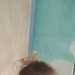 ThrillingWanderer45f6b0's profile picture