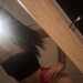 Sandra's profile picture