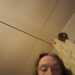 cdjackie 's profile picture