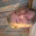 alundallas664's profile picture