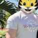 Lionprofessor's profile picture