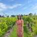 looking for sex is Tabby , 35 from from Oregonia