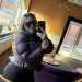 Lexam12's profile picture