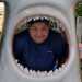 Sue's profile picture