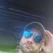 Steviet's profile picture