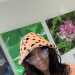 Party girl summer's profile picture