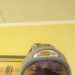 brucebi402NewYork's profile picture