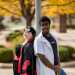 KINGANDBUNNY's profile picture