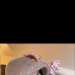 Beckyle's profile picture