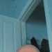 Sidcarr's profile picture