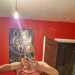 Kevicd's profile picture