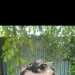 Brad's profile picture