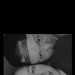 Meandthewifey's profile picture