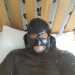 Hornysub76's profile picture