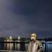 Noman_amz's profile picture
