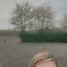 Feenut's profile picture