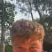 George's profile picture