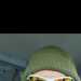 Red69's profile picture