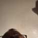 Coolman65's profile picture