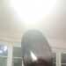 Zii's profile picture