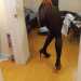 Xiaoyi's profile picture