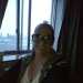 Leelee7281's profile picture