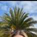Cass_sterling's profile picture