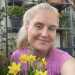 Lindalovelybees384