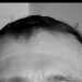 Whynot69's profile picture