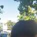 Jeferson