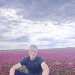 Lince