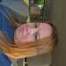 looking for sex is FaultedFlower , 44 from from Mortons Gap