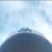 Daviddo's profile picture