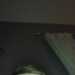 HungHorny's profile picture