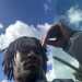 Jayson98's profile picture