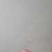 Mrspanky's profile picture