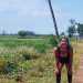 Ama grisel