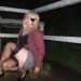 LeanneTransNylons's profile picture