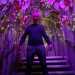 Pawel's profile picture