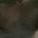 silkyguy's profile picture