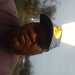 LongWhine's profile picture
