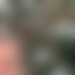 JackRussel's profile picture