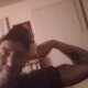 Thickd