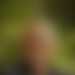 severnvale's profile picture