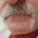 fulhamsw6's profile picture