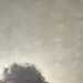 Perm098's profile picture