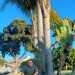 Changuito69's profile picture