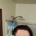 Harleigh's profile picture